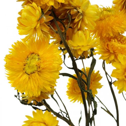Produkt Suszony kwiat Żółty kwiat słomy Helichrysum Suchy bukiet dekoracji 50cm 45g