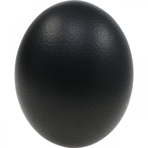 Produkt Dekoracja strusich jajek dmuchana Dekoracja wielkanocna czarna Ø12cm W14cm