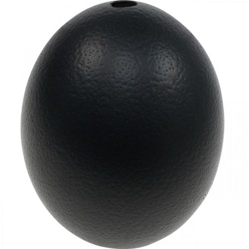 Dekoracja z dmuchanego jajka strusiego Czarna Ø12cm W14cm