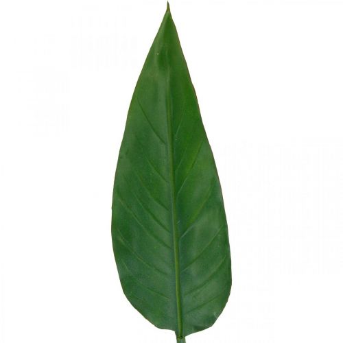 Produkt Strelicja Kwiat Papugi Liść Dekoracyjny Liść Strelicji Zielony L81cm