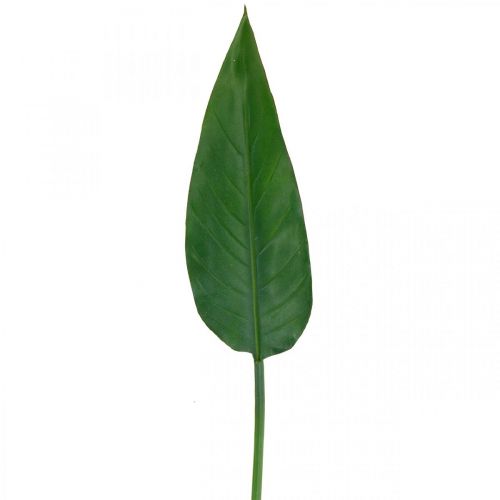 Produkt Strelicja Kwiat Papugi Liść Dekoracyjny Liść Strelicji Zielony L81cm