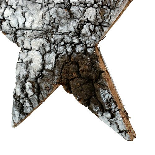Floristik24 Kora brzozowa gwiazda duża biała 19cm 4szt.