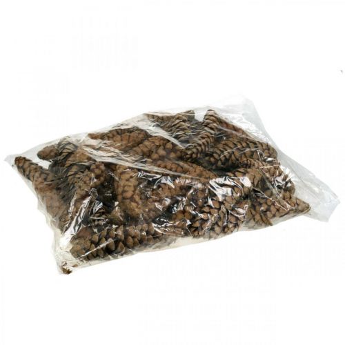 Produkt Szyszki Sosna Biała Strobus Natural Mieszany 2,5kg