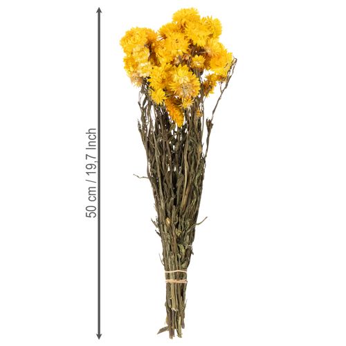 Produkt Suszony żółty kwiat nieśmiertelnika (Helichrysum) pęczek suszonych kwiatów, 100g