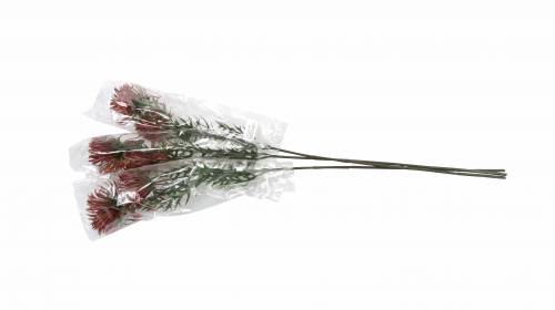 Floristik24 Xanthium gałązka bordo 69cm 3szt.