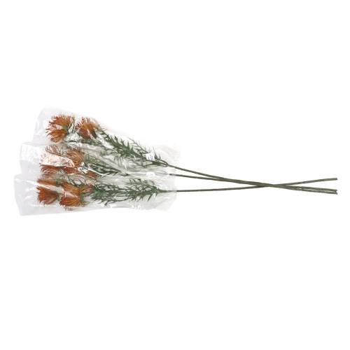 Floristik24 Xanthium Gałązka Pomarańczowa 69cm 3szt.