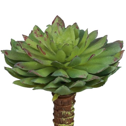 Soczysta Echeveria Sztuczna zielona roślina zielona Ø6cm 10,5cm