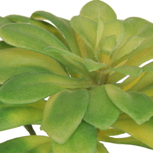 Produkt Sztuczna roślina sukulent z wykałaczką Aeonium Green 30cm 4 szt