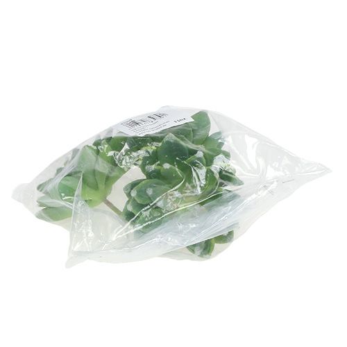 Produkt Soczysty kamień różowo-zielony Ø10cm W11cm 3 szt