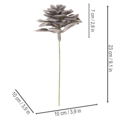 Sztuczne kwiaty woskowe sukulenty, dekoracja 10cm, 6 szt. | Floristik24.pl