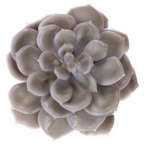 Sztuczne kwiaty woskowe sukulenty, dekoracja 10cm, 6 szt. | Floristik24.pl