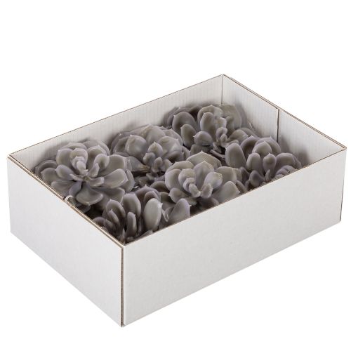 Sztuczne kwiaty woskowe sukulenty, dekoracja 10cm, 6 szt. | Floristik24.pl