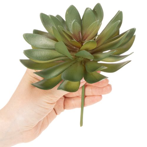 Sztuczny sukulent jako roślina ozdobna, zielony, 18cm, 3 sztuki | Floristik24.pl