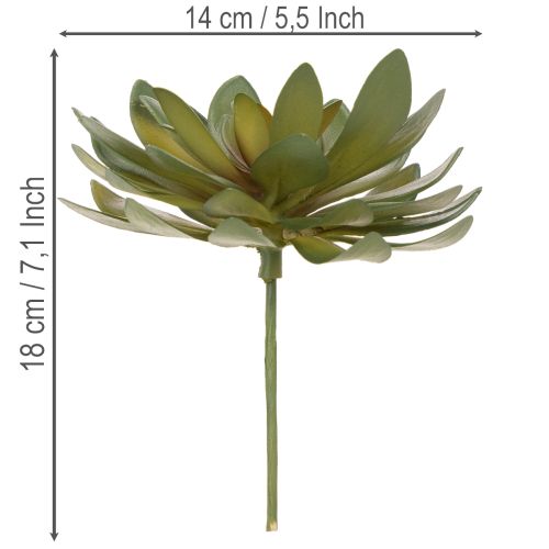 Sztuczny sukulent jako roślina ozdobna, zielony, 18cm, 3 sztuki | Floristik24.pl