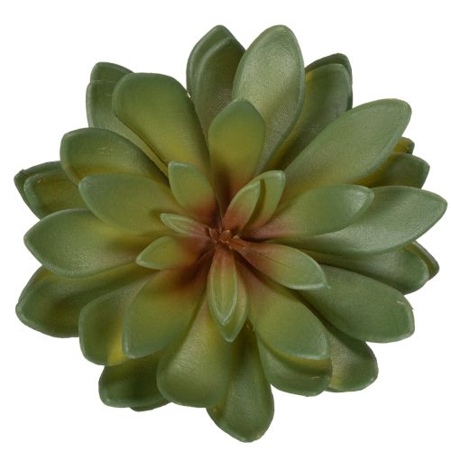 Sztuczny sukulent jako roślina ozdobna, zielony, 18cm, 3 sztuki | Floristik24.pl