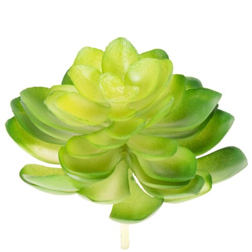 Produkt Sztuczna roślina sukulent, zielona, do dekoracji w misce lub wazonie, 10 cm, 4 sztuki