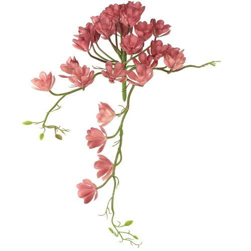 Sztuczny sukulent 28 rozet Aeonium staroróżowy 43cm