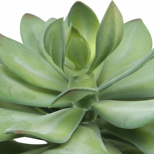 Floristik24 Deco Succulent Artificial Green Ø30cm H27cm