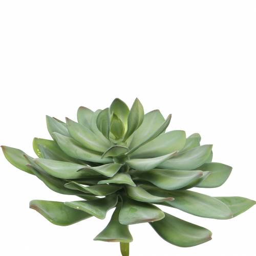 Floristik24 Deco Succulent Artificial Green Ø30cm H27cm