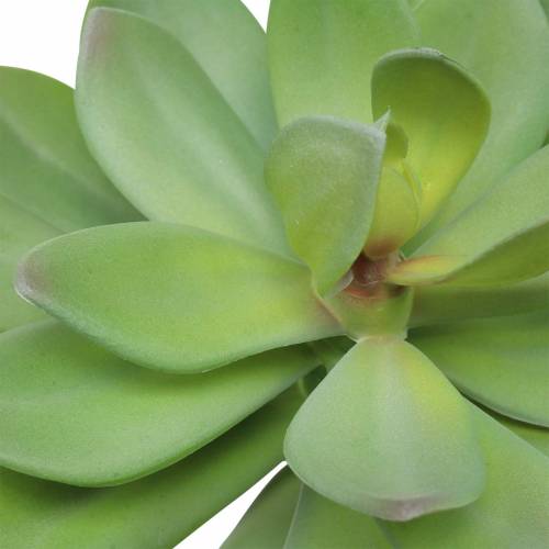 Produkt Sztuczna soczysta zieleń 27cm