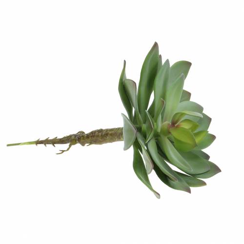 Produkt Sztuczna soczysta zieleń 27cm