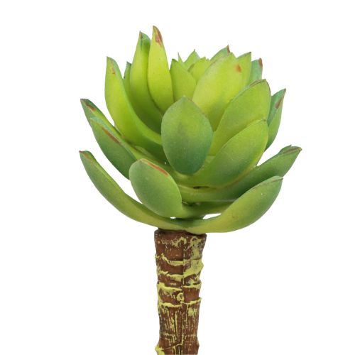 Soczysta Echeveria Sztuczna zielona roślina Zielona Ø5,5cm 12,5cm
