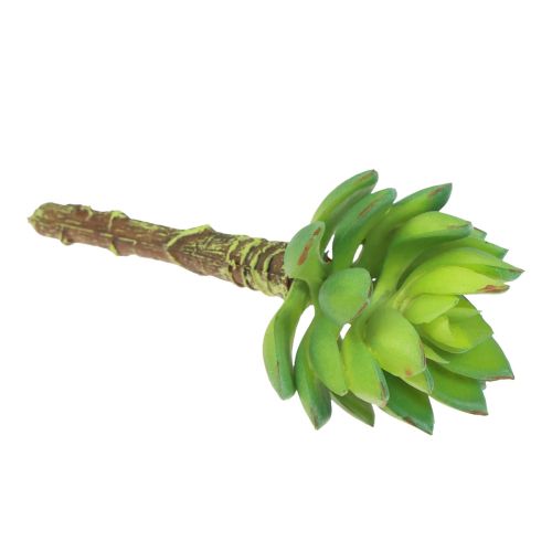 Produkt Soczysta Echeveria Sztuczna zielona roślina Zielona Ø5,5cm 12,5cm