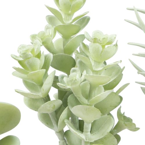 Floristik24 Sukulenty Sztuczna roślina zielona, różne 9-18,5 cm 4szt