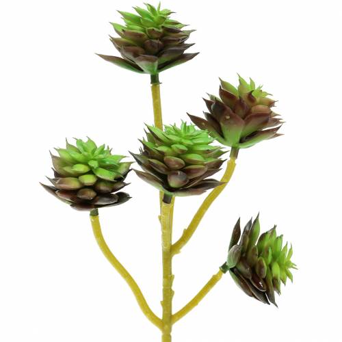 Succulent Pick Green/Brown 35,5cm