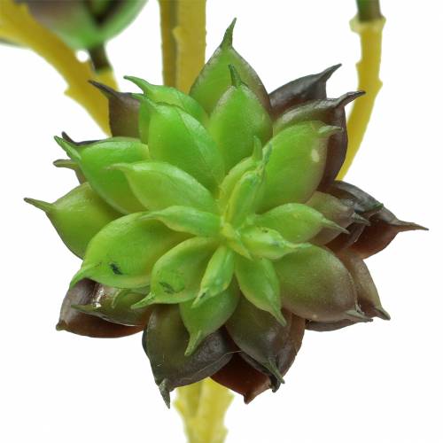 Produkt Succulent Pick Green/Brown 35,5cm