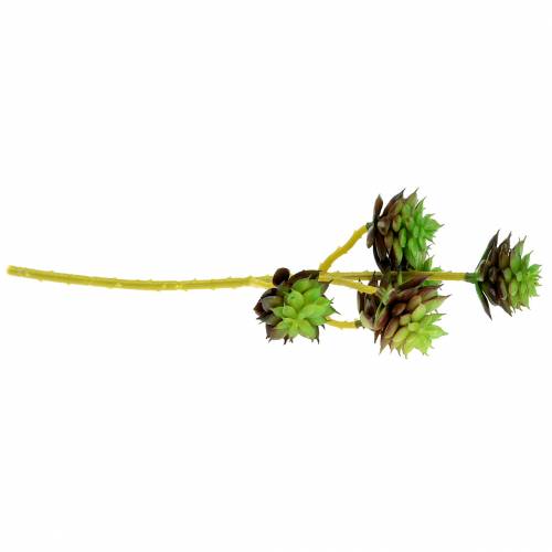 Produkt Succulent Pick Green/Brown 35,5cm
