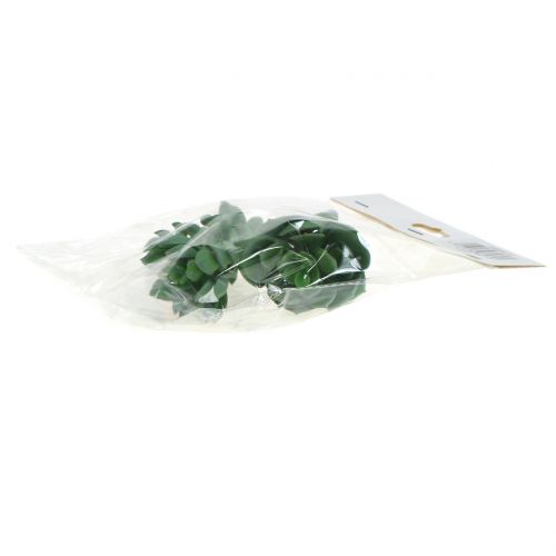 Floristik24 Sukulenty posortowane 11cm 3szt