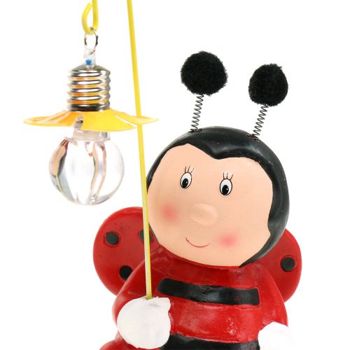 Floristik24 Figurka dekoracyjna biedronka z lampką H20cm