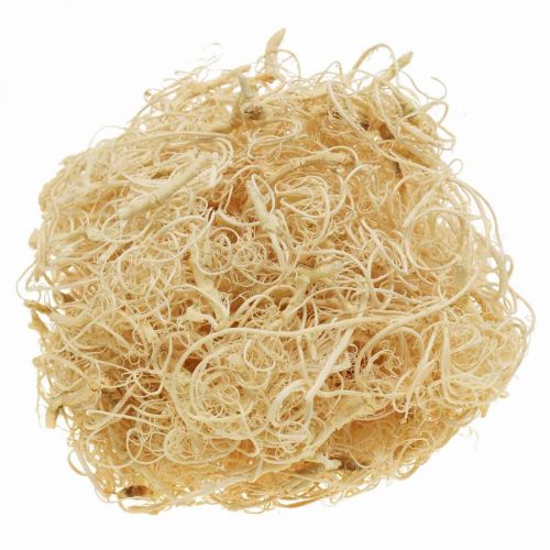 Produkt Błonnik Tamaryndowca 500g bielony