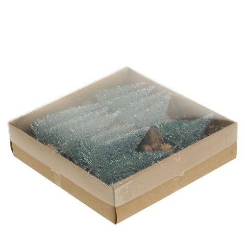 Floristik24 Jodła srebrna 8cm 24 szt