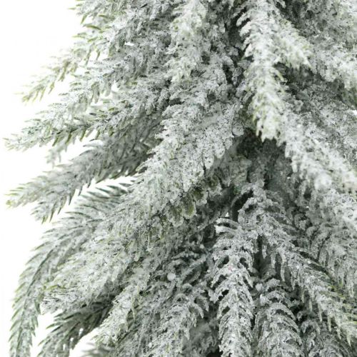 Floristik24 Dekoracyjna jodła ze śniegiem, dekoracja adwentowa, jodła w doniczce wys.37cm