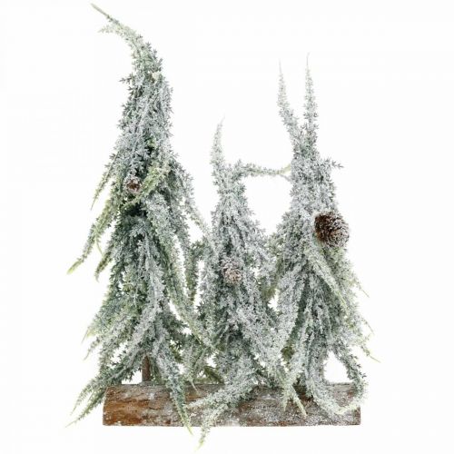 Floristik24 Jodła ze śniegiem, dekoracja adwentowa, zimowy las dł.16,5cm wys.28cm