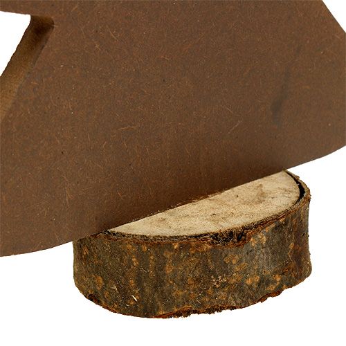 Floristik24 Jodła biała, drewno brązowe 21cm 4szt.