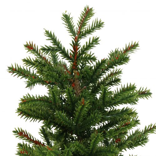 Floristik24 Drzewko jodłowe w doniczce zielone 23cm