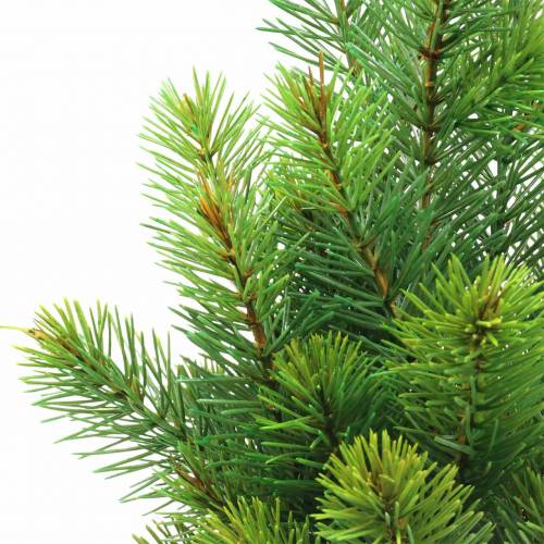 Floristik24 Gałązki jodły zielone 43/54cm 6szt
