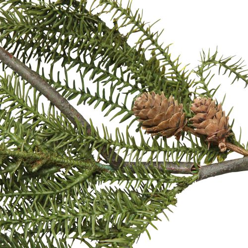 Produkt Girlanda jodłowa z prawdziwymi szyszkami bożonarodzeniowymi 165cm