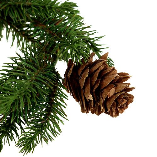 Floristik24 Wieniec jodłowy z szyszkami Ø11cm 6szt.