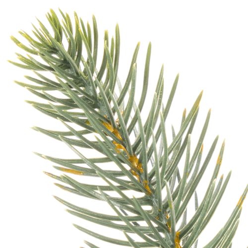 Sztuczna gałązka jodły, świąteczna dekoracja okna, 50 cm, 3 sztuki | Floristik24.pl