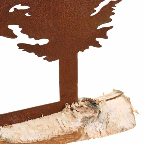 Floristik24 Sylwetka jodły rdza na pniu brzozy 41cm x 36cm