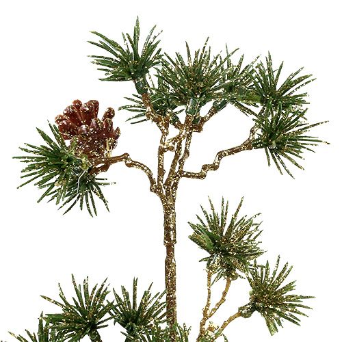 Floristik24 Gałązka jodły zielona, złoty brokat 46cm