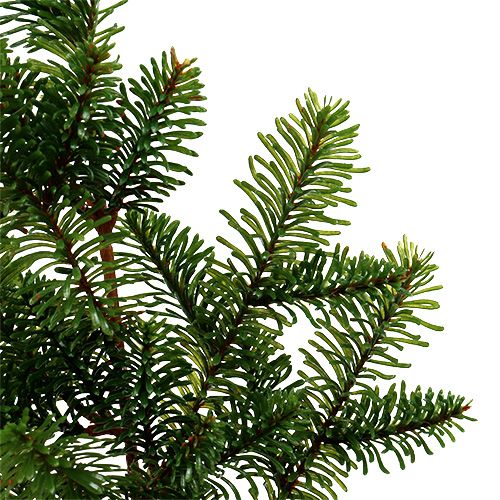 Floristik24 Gałązka jodły sztuczna zielona L66cm