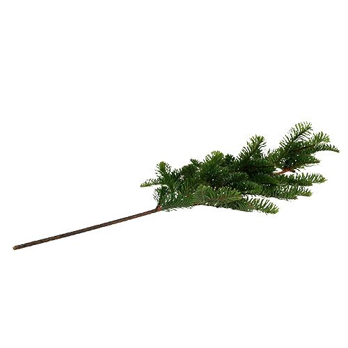 Floristik24 Gałązka jodły sztuczna zielona L66cm