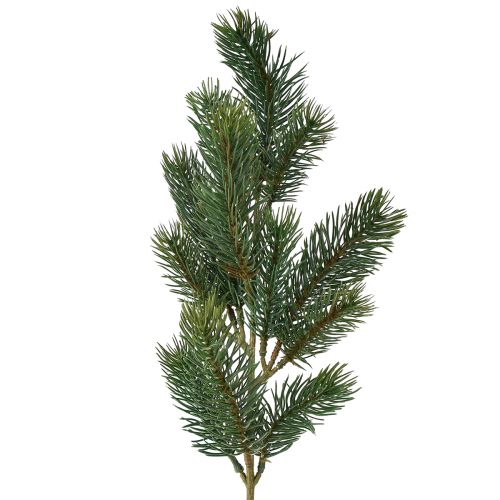 Floristik24 Gałąź jodły zielona 50cm 6 szt