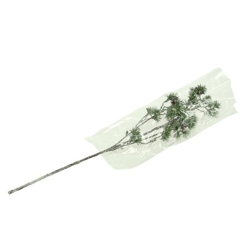 Floristik24 Gałązka jodły zielona bielona 46cm