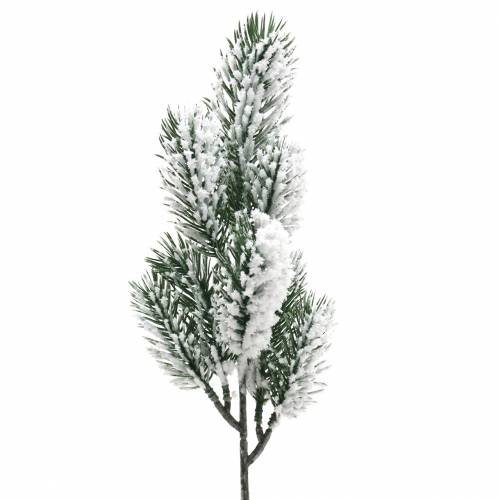 Floristik24 Gałąź jodły zielonej pokryta śniegiem 39cm 8 szt